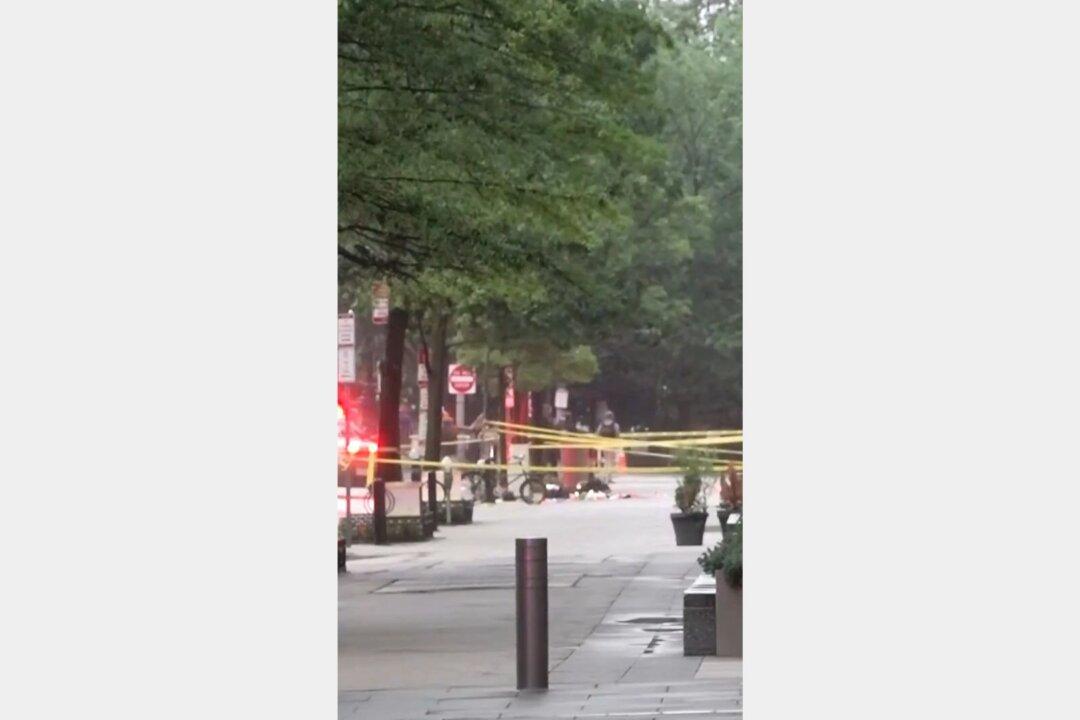 Eyewitness Captures Gunfire Ringing Out Near White House