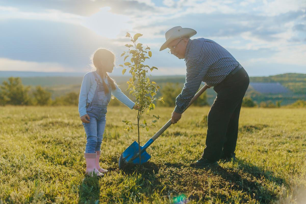 Consistent care encourages plants to develop strong root systems and resilience. (Alexandr Muşuc/Getty Images)