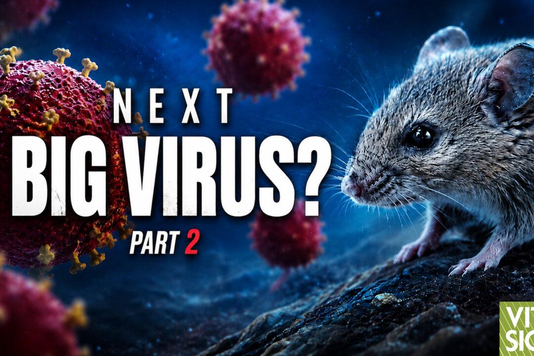 The Viruses Scientists Fear Most—Ebola, Hantavirus, & H5N1 With ICU Doctor Roger Seheult