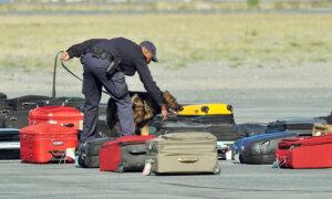 Should You Worry That Your Luggage May Turn Into a Drug Shipment at Canadian Airports?