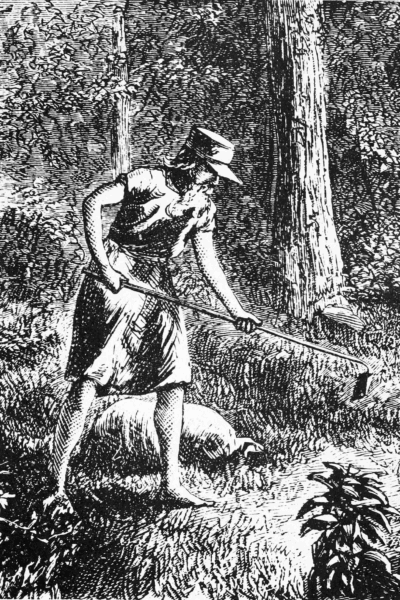 An etching of John Chapman, aka Johnny Appleseed, from Harper's New Monthly Magazine in 1871. (Public Domain)