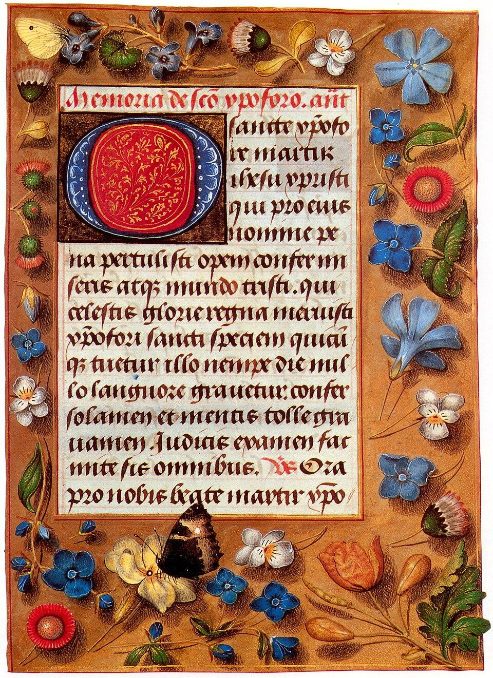An illuminated page from the Hastings Book of Hours, dated between 1475 and 1483. The page depicts a number of flowers, including speedwell and periwinkle, and a small tortoiseshell butterfly. (Public domain)