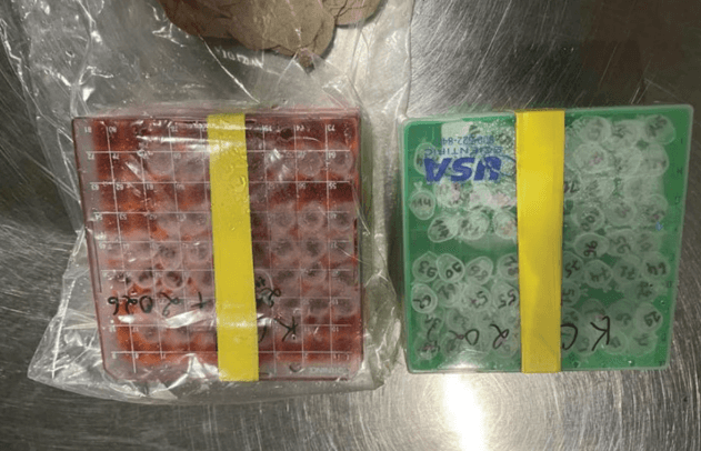 Vials found in a black case being transported by National Institutes of Health researchers. (FBI via The Epoch Times)