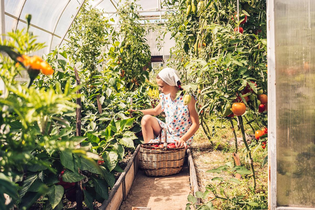 The 10 Laws of Gardening