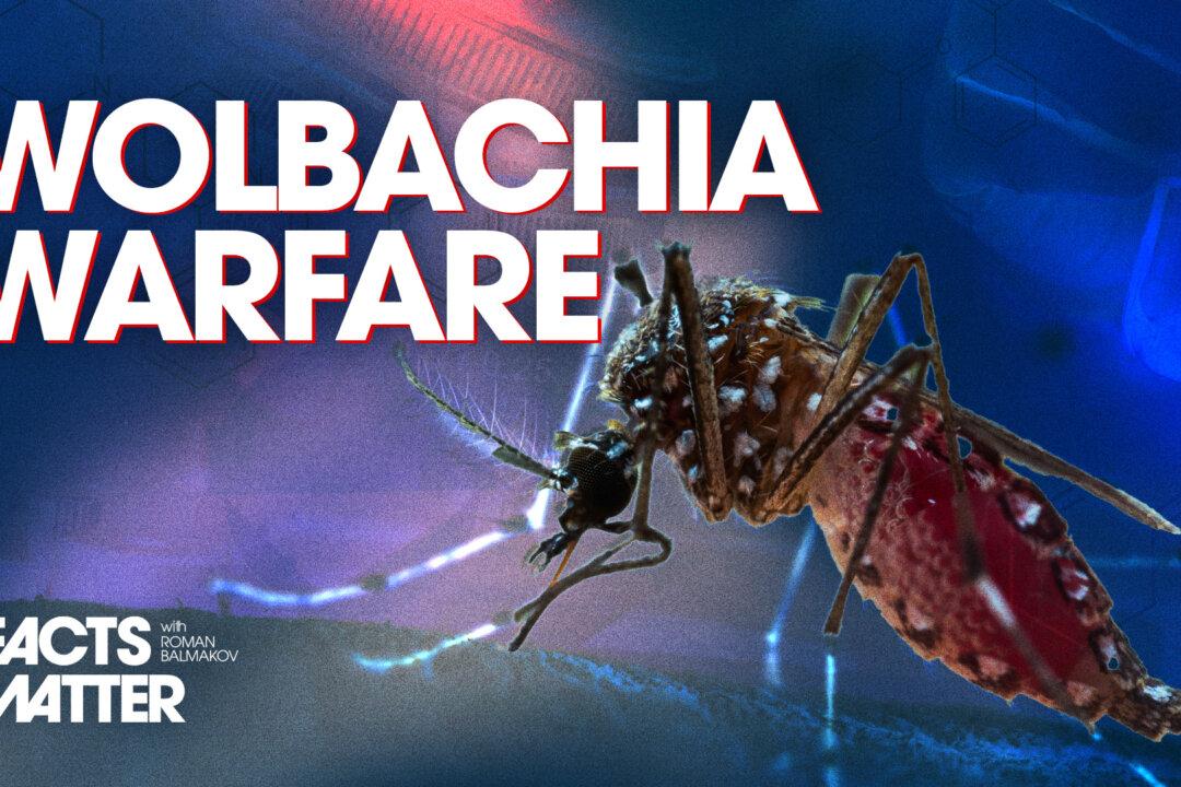 Google to Release 32 Million Bacteria-Infected Mosquitoes in Florida and California