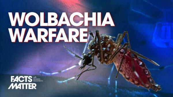 Google to Release 32 Million Bacteria-Infected Mosquitoes in Florida and California