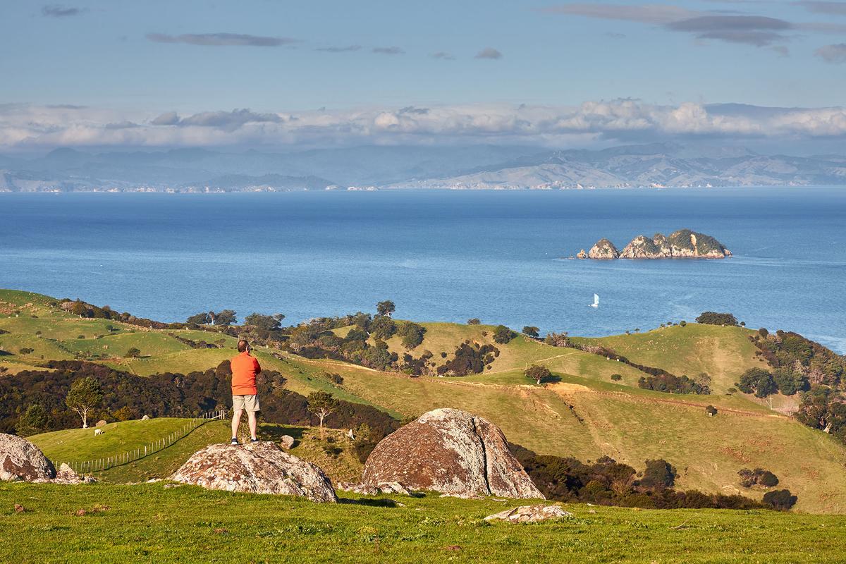 Stony Batter, a historic military fortification located on the eastern end of Waiheke Island, was constructed during World War II as part of New Zealand's coastal defense network. It offers views of the Hauraki Gulf and surrounding islands. (Mark Meredith/Getty Images)