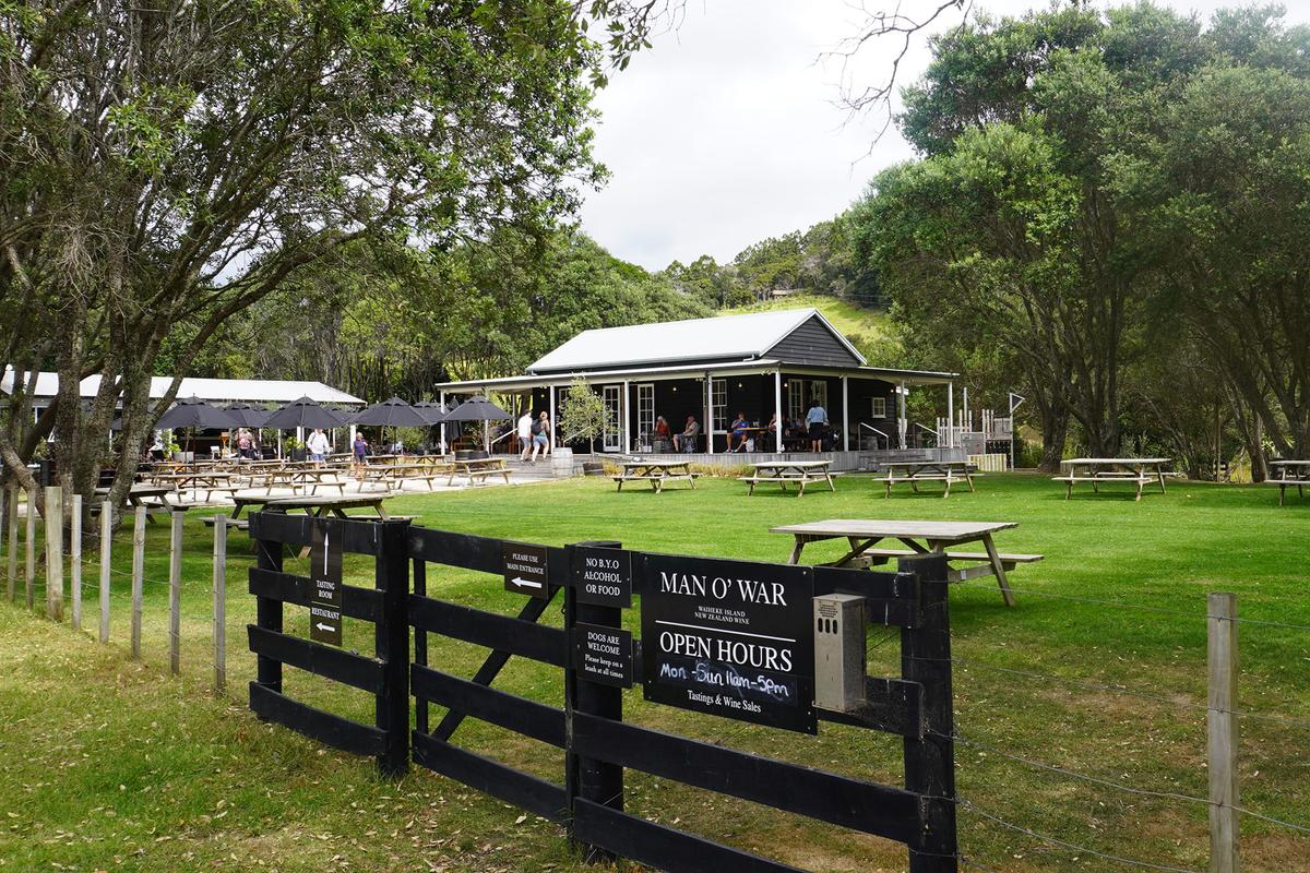 Man O’ War Vineyards is one of the 30-odd vineyards located on Waiheke Island. The estate boasts New Zealand's only beachfront tasting room. (Kirsten Walla/Getty Images)