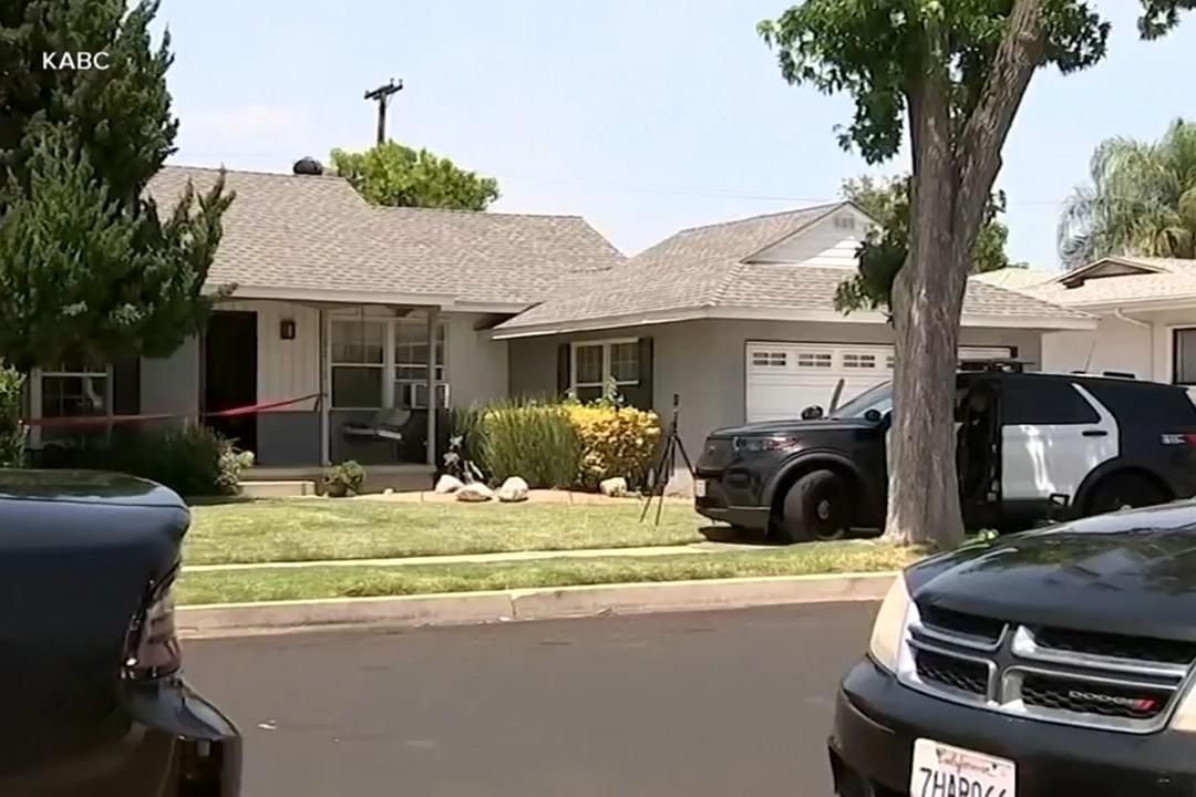 After Actor James Handy’s Stabbing Death, His Girlfriend’s Son Is Charged With Murder