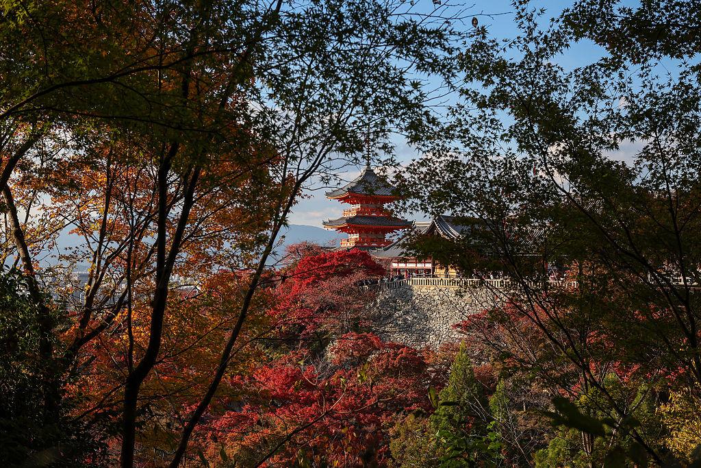 Auburn University Student Missing for Days Found Dead in Japan