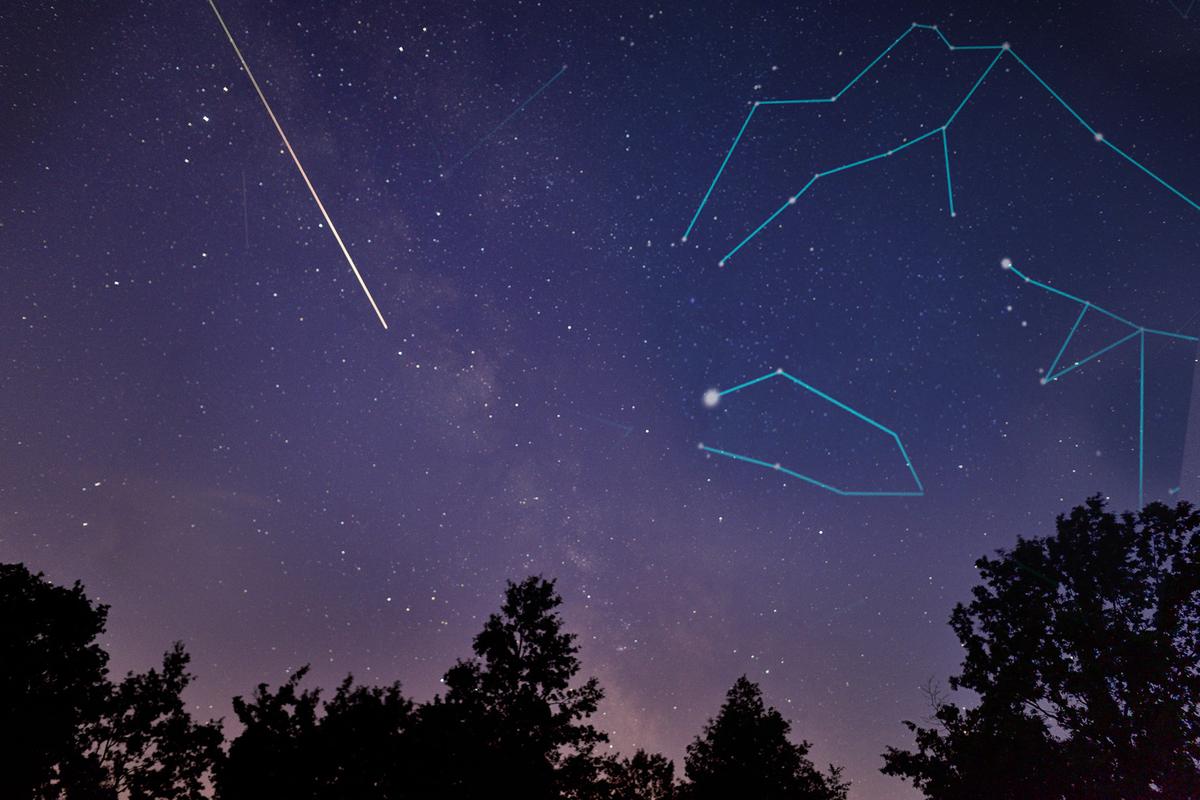 Delta Aquariid Shooting Stars Will Crisscross 3 Other Meteor Showers in July—What to Know