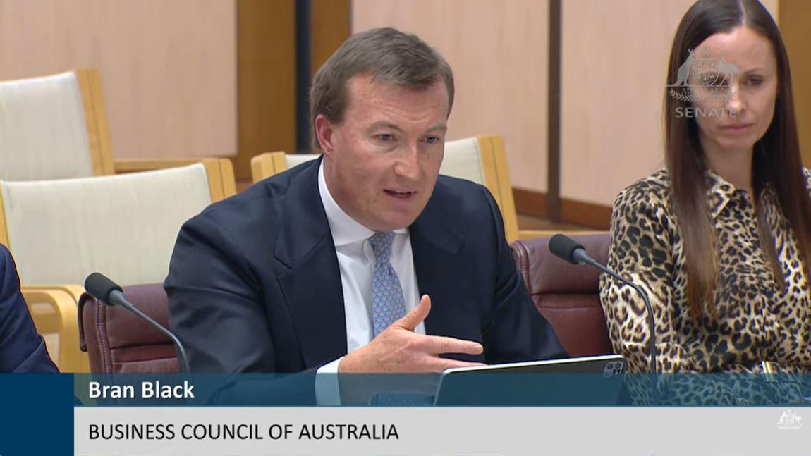 Bran Black, chief executive of the Business Council of Australia, gives evidence to the Senate Economic Committee in Canberra, Australia on June 15, 2026. (Screenshot of parliamentary proceedings).