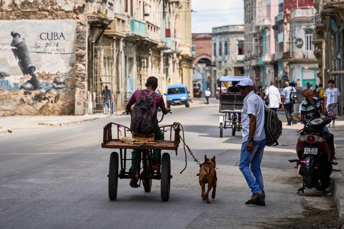Online Portal for Delivering Goods to Cubans Ceases Operations