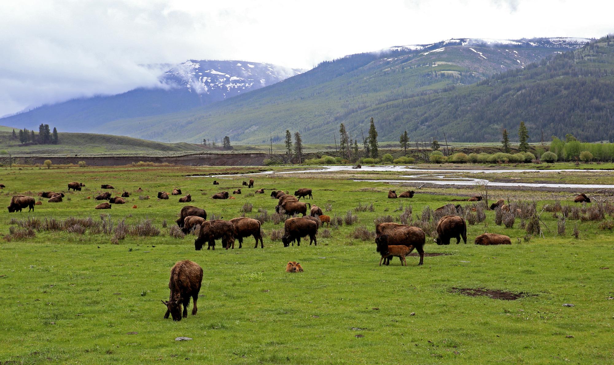 image-6052739