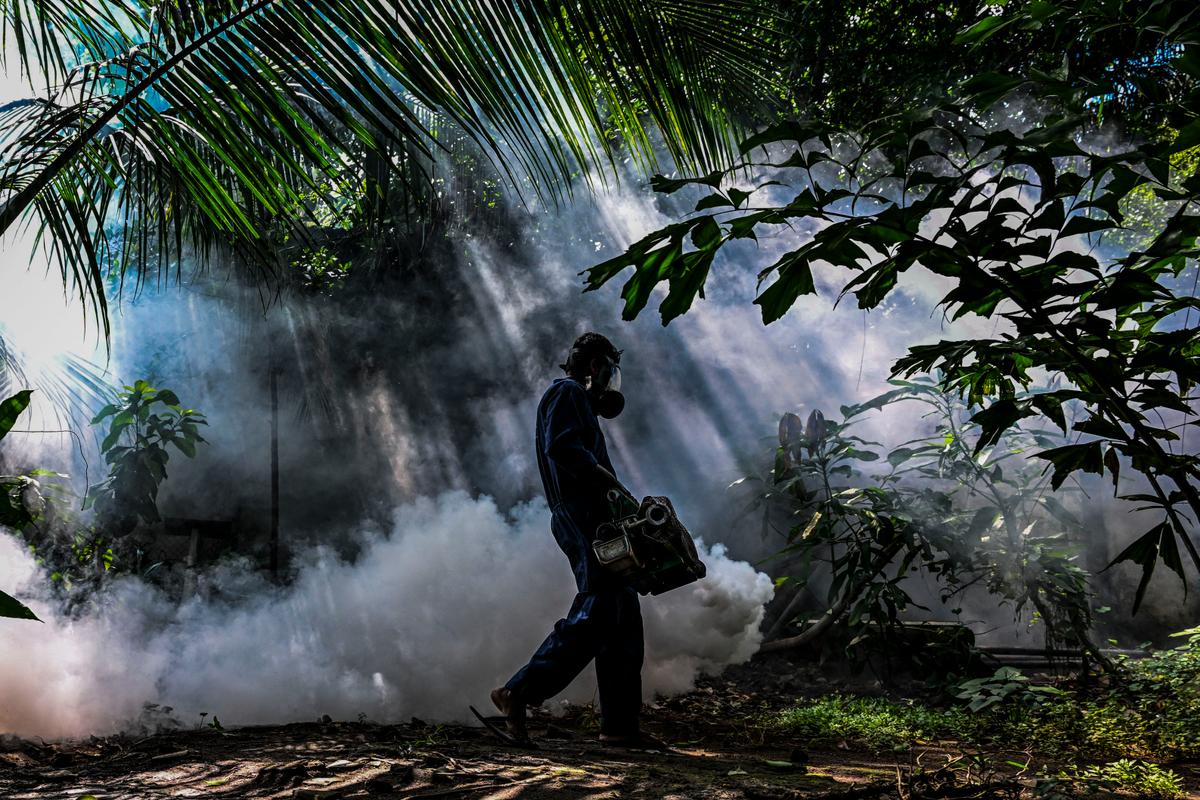 Day in Photos: Anti-Dengue Prevention, Warehouse Collapse, and Artisan Fabric Workshop