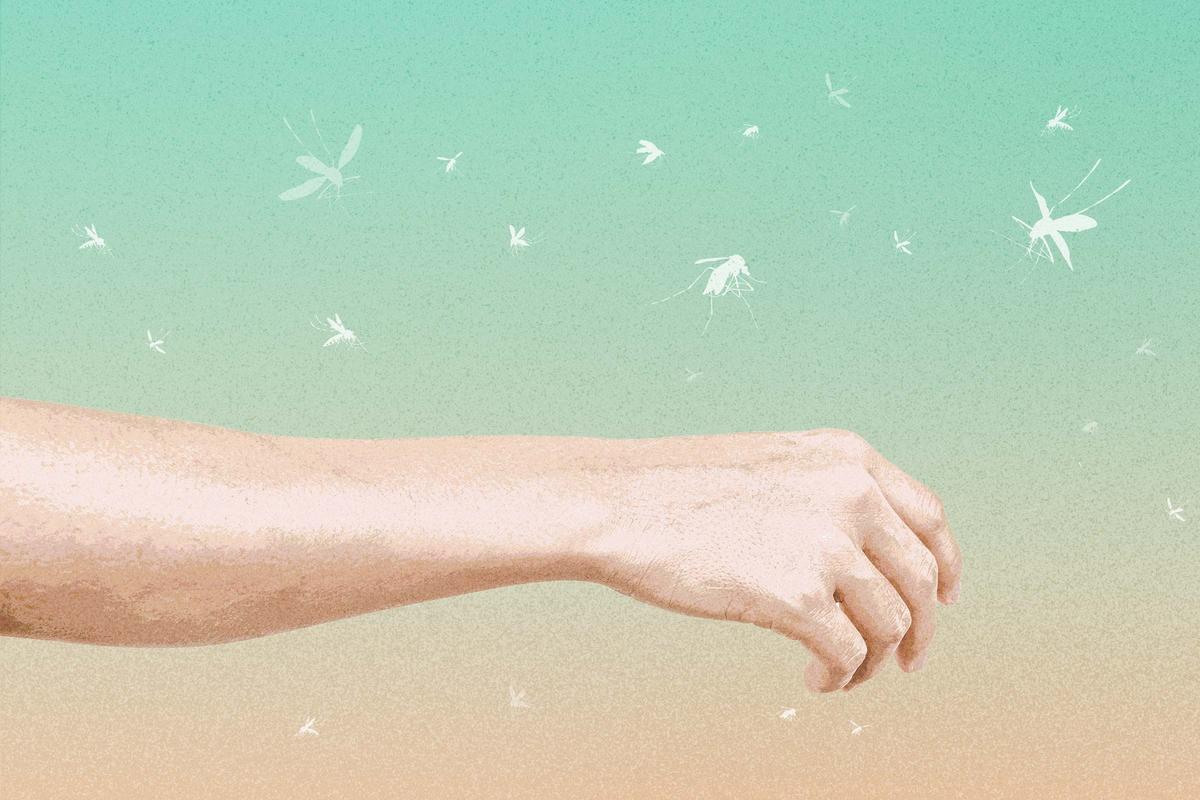 Are You a Mosquito Magnet?