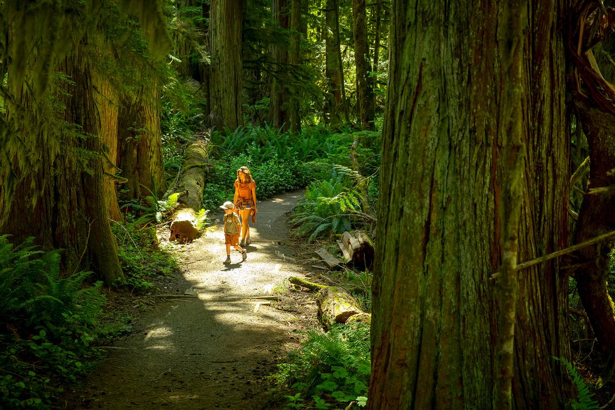 Childhood experiences are typically remembered for the feelings they generated, some of which can persist for decades. (Jordan Siemens/Getty Images)