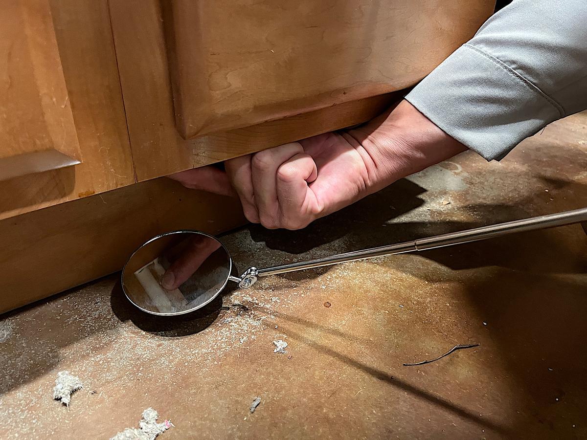 Senior scorpion specialist Mike Golleher uses a mirror to check for bark scorpions lurking under the sink in Tempe, Ariz., on June 24, 2026. (Allan Stein/The Epoch Times)