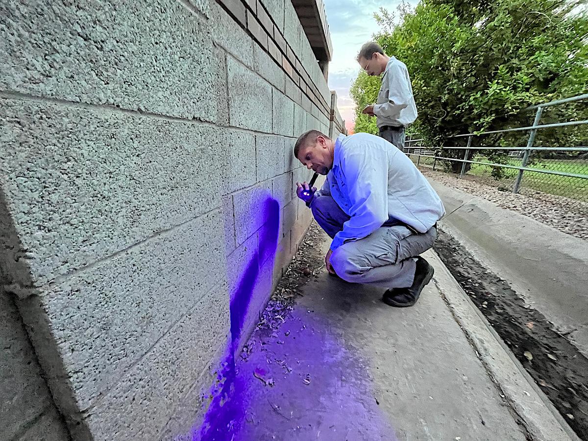 Senior scorpion specialist Mike Golleher crouches while shining an ultraviolet flashlight into a concrete barrier, a common hideout for bark scorpions, in Tempe, Ariz., on June 24. 2026. (Allan Stein/The Epoch Times)