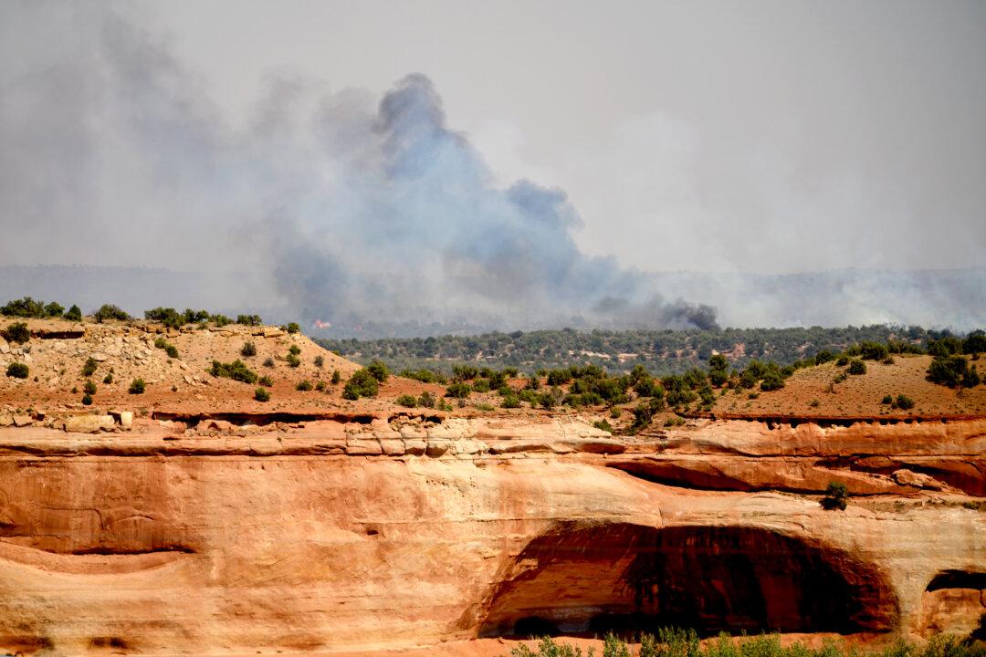 Officials Identify 3 Firefighters Killed in Colorado Blaze