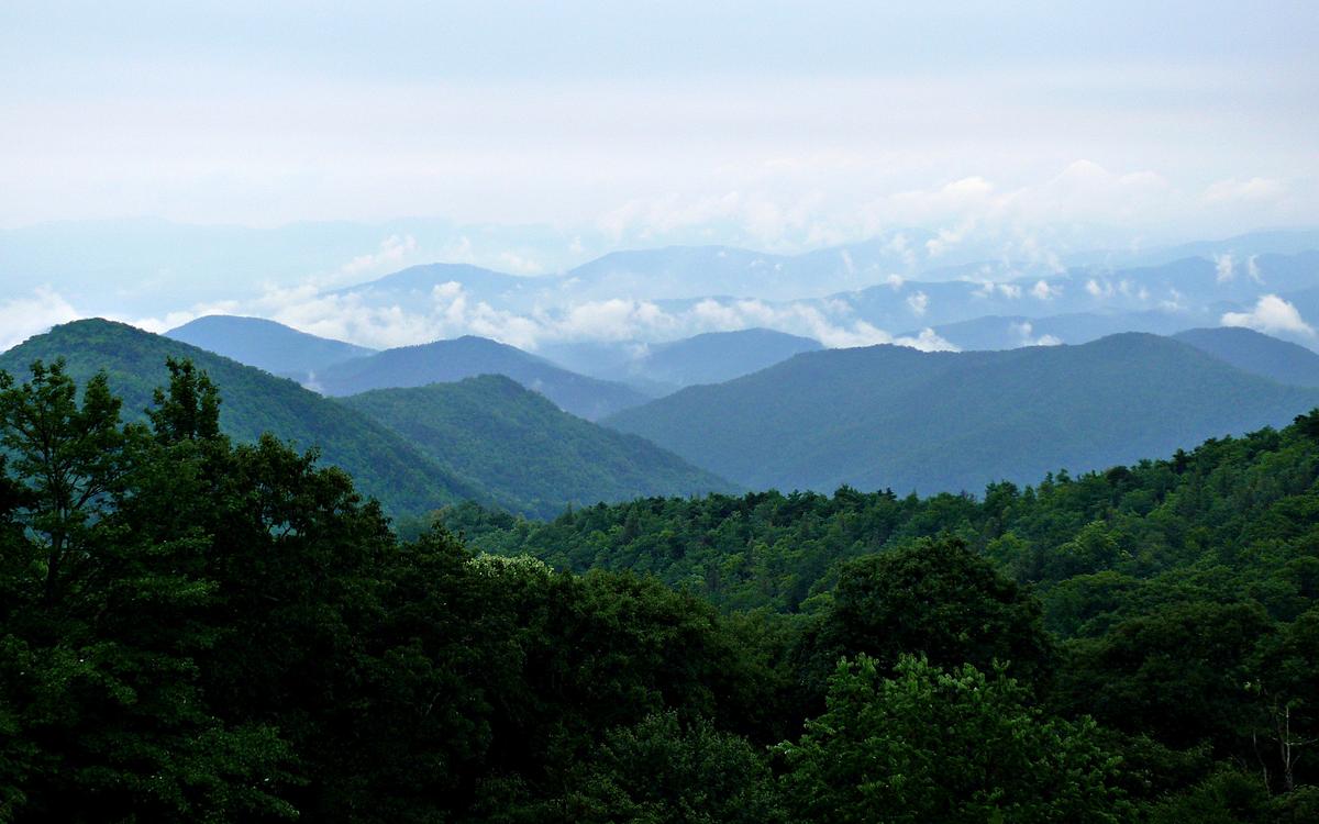 Appalachian Awakening: Rewriting American Music Culture
