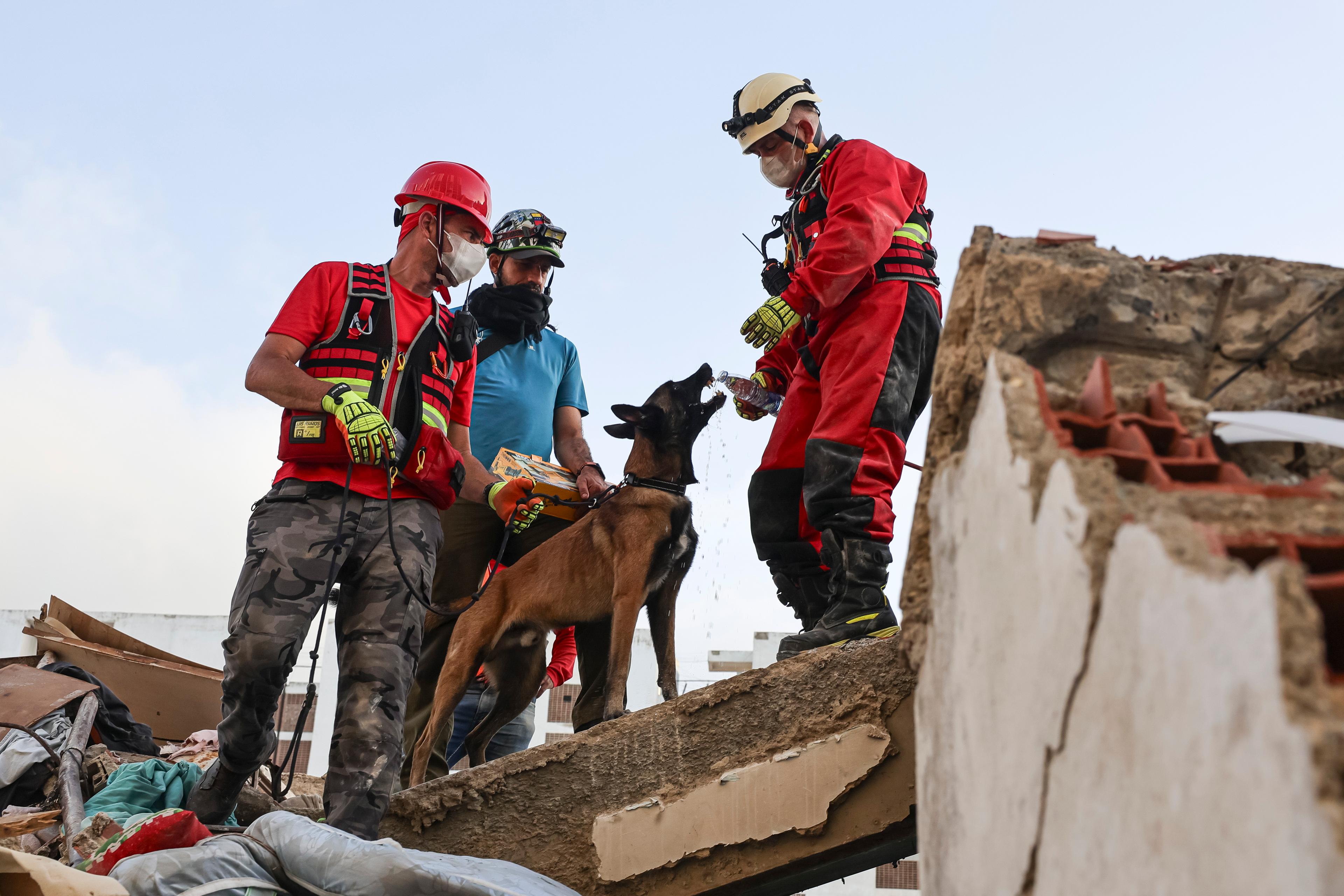 image-6056344
