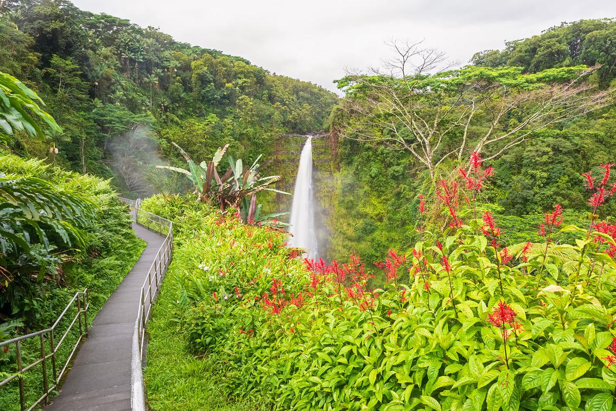 Fed by abundant rainfall, Akaka Falls plunges more than 400 feet into a lush tropical gorge on Hawaii's windward coast. (Westend61/Getty Images)