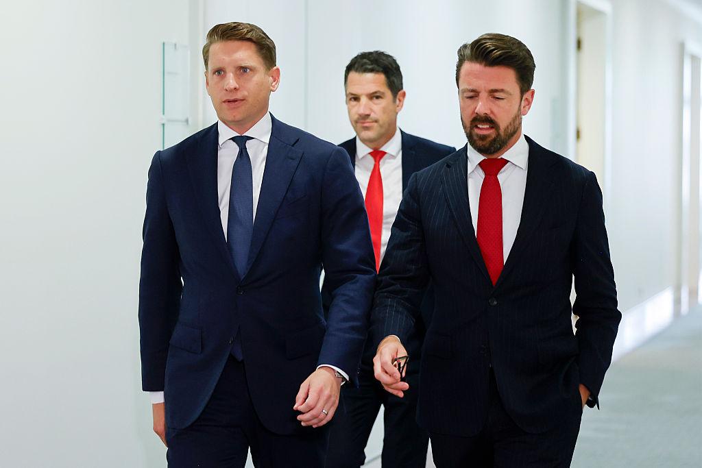 Albanese Backs Liberal MP Hastie Against One Nation for Seat of Canning
