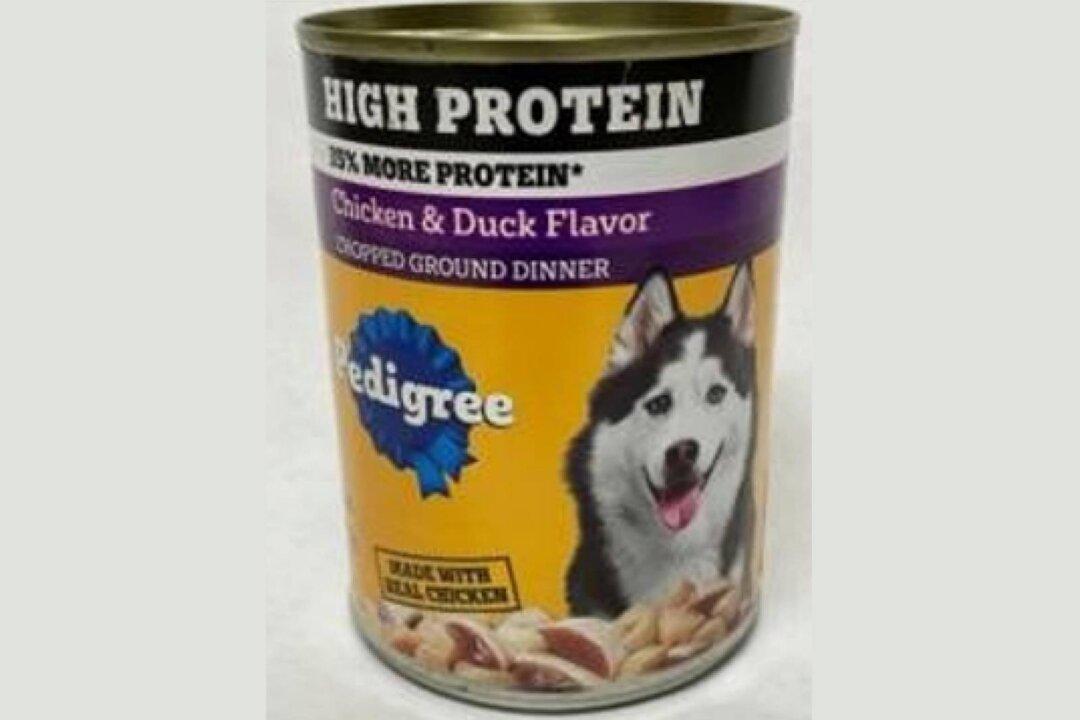 Pedigree Dog Food Recalled Due to Foreign Material Contamination