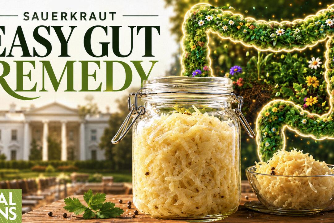 Nurture Gut Flora — Sauerkraut’s 5 Key Benefits