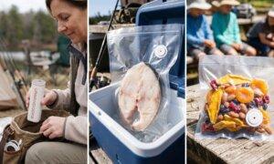 Stop Wasting Money & Food! This Small Kitchen Tool Saves $1,500+ Per Year