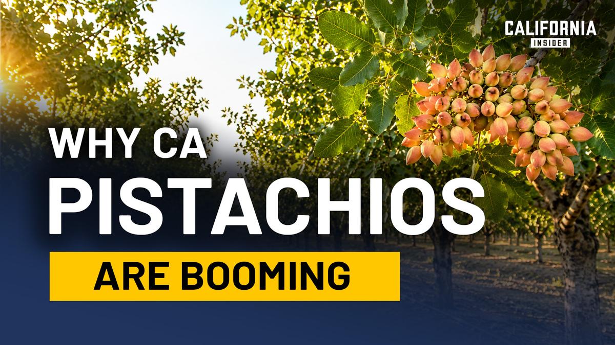 A Farming Takeover Happened in California; Most Residents Never Noticed | Tom Coleman & Stephen Vasquez thumbnail