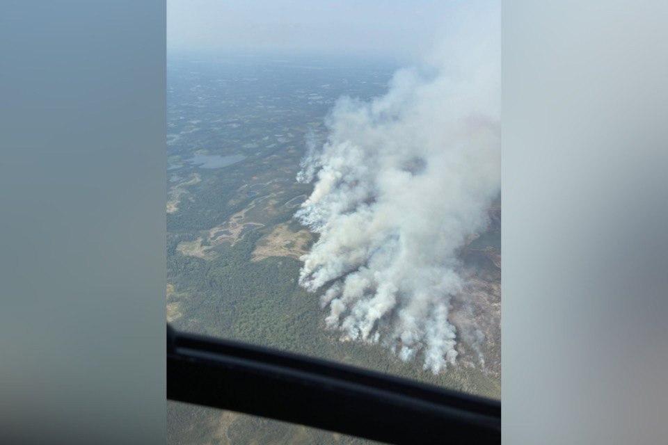 Saskatchewan Grounding 3 Wildfire Planes That Are Same Model as One in NWT Crash