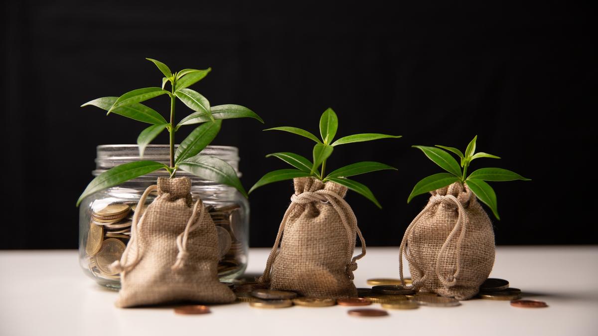 On Saving Money and Spreading Manure