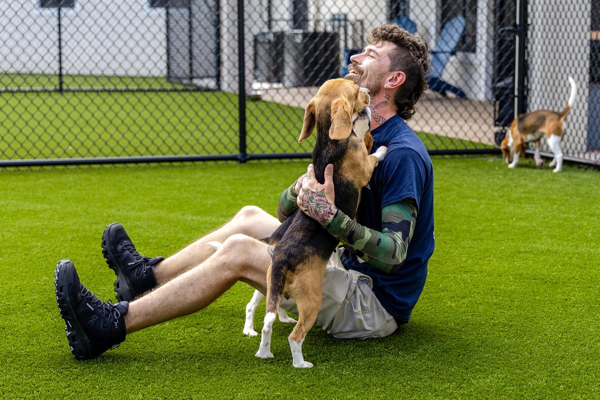 Beagles Rescued From Research-Lab Pipeline Get 2nd Chance in Loving Homes