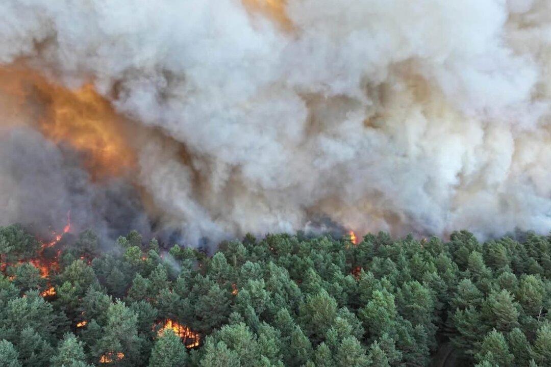 Fire in Forest of French Kings: The Battle to Save Fontainebleau