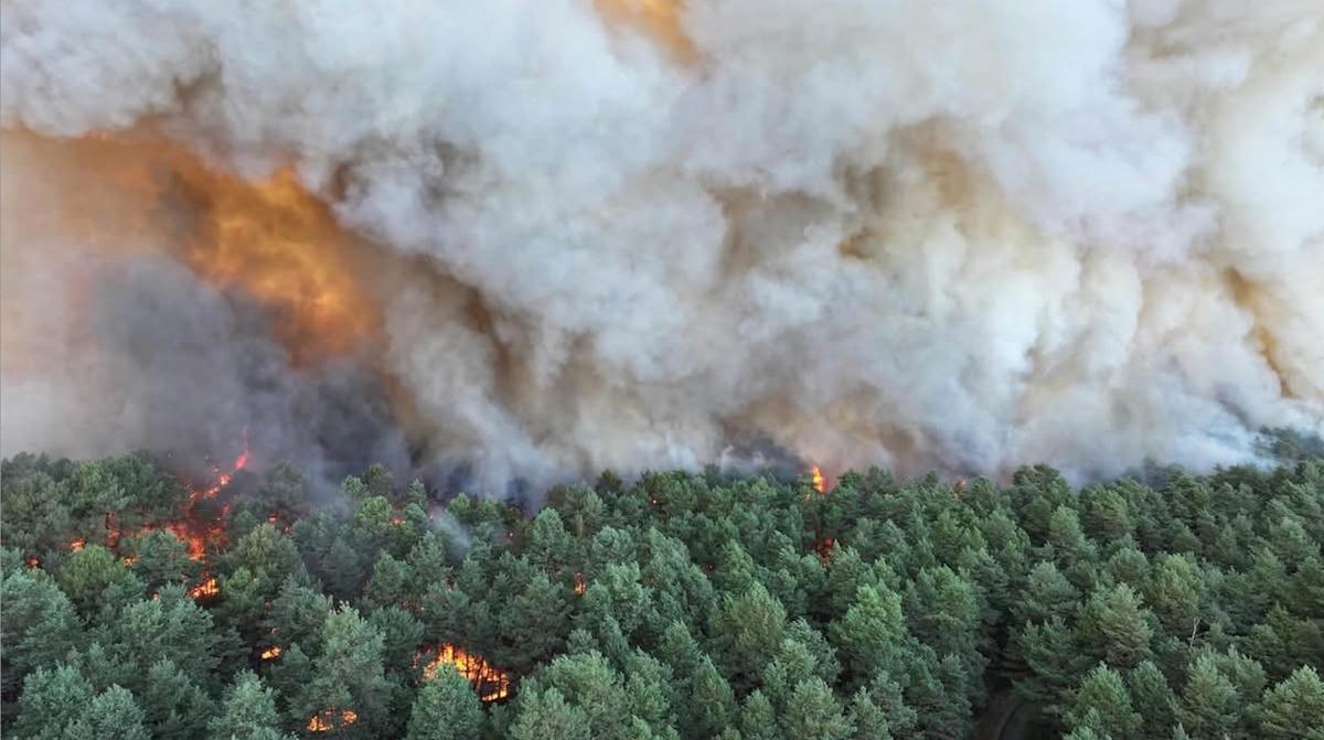 Fire in Forest of French Kings: The Battle to Save Fontainebleau