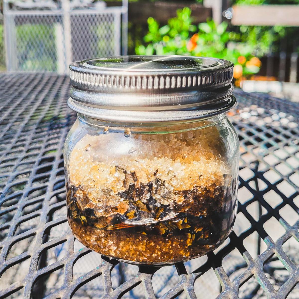 The plantain syrup after a 4-week maceration period. (Alexandra Roach/The Epoch Times)