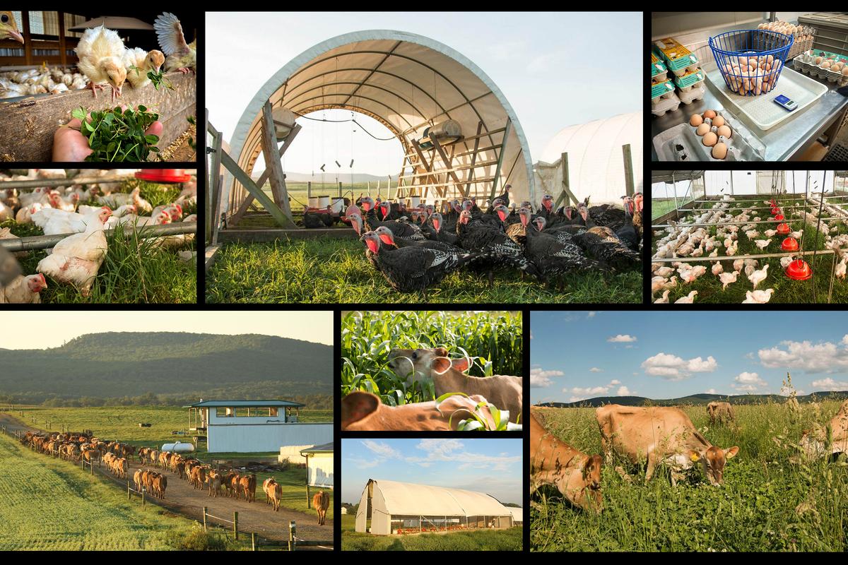 Behind America’s Growing ‘Food Freedom’ Movement