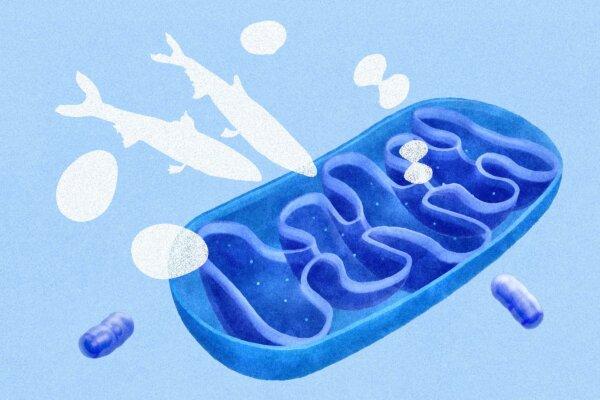 How Low B12 Can Mimic Signs of Aging