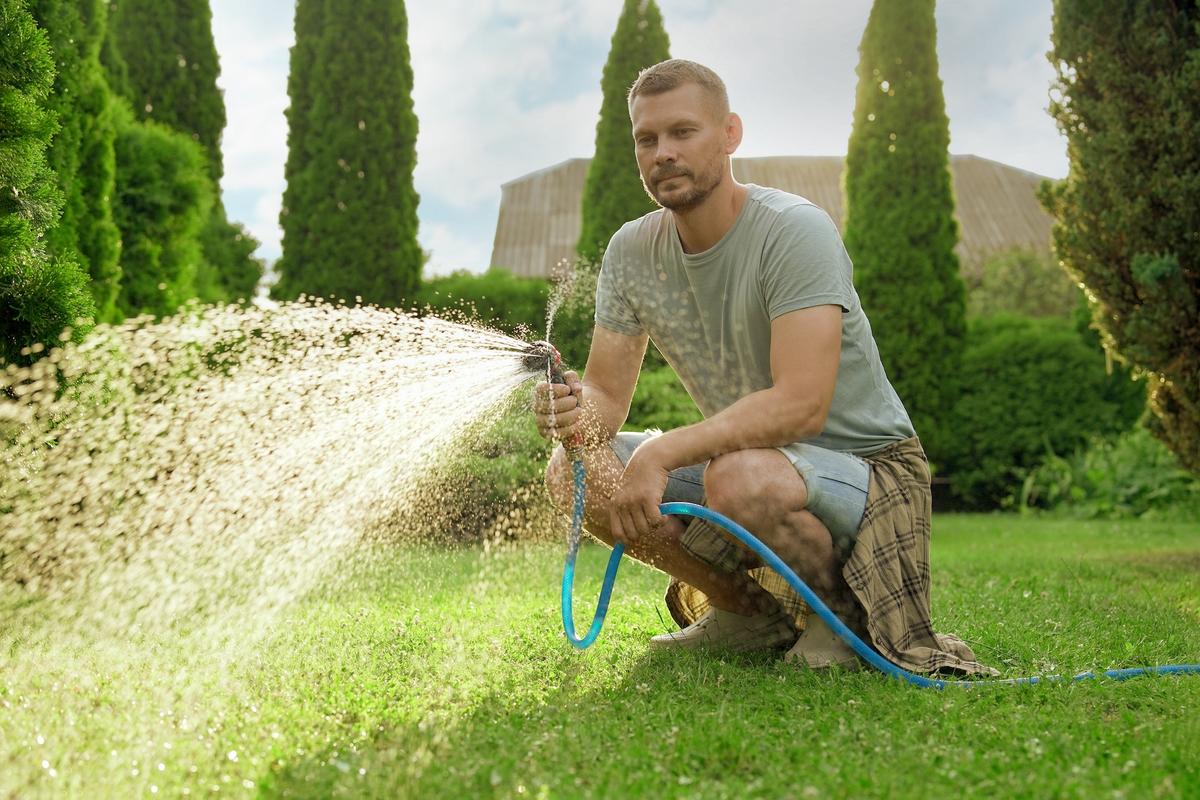 How to Water Your Lawn Without Being Wasteful This Summer