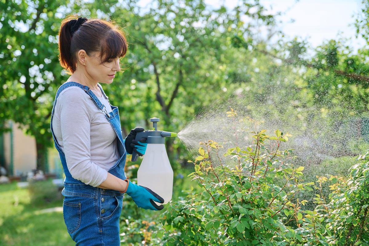 How to Keep Summer Pests From Taking Over Your Garden