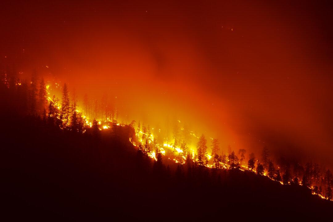 8,000 People Ordered to Evacuate in BC as Wildfires Continue to Ravage Province