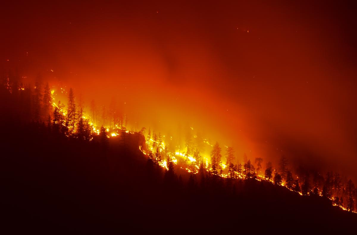 8,000 People Ordered to Evacuate in BC as Wildfires Continue to Ravage Province