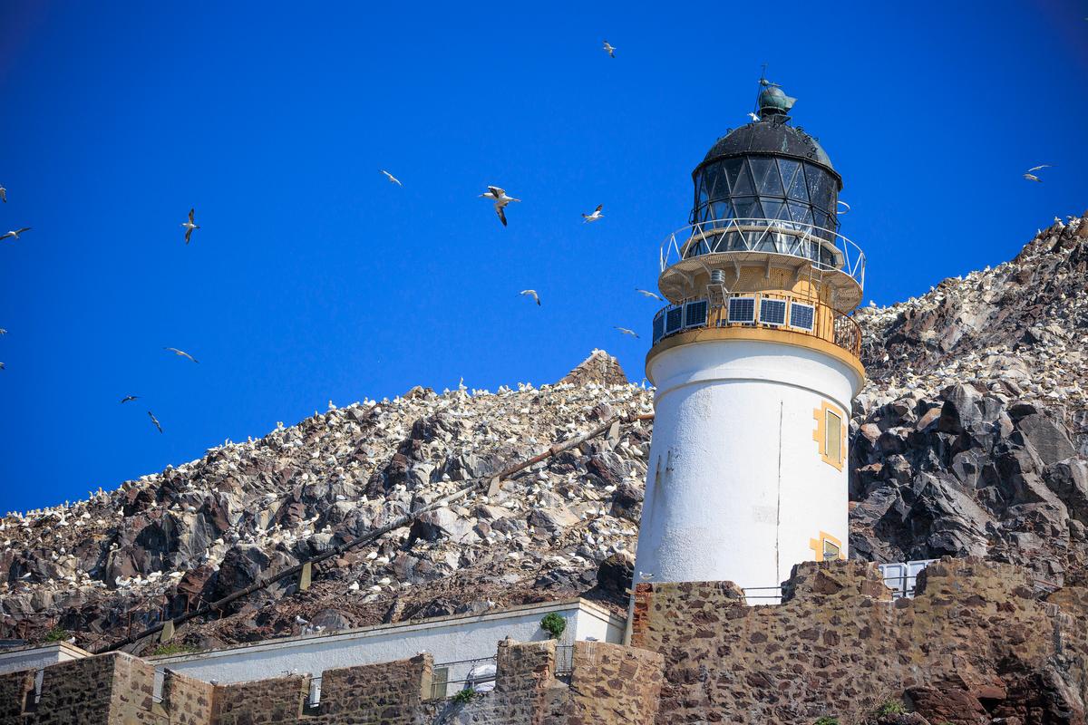 Postcards From Scotland: Natural Magic, Breathtaking Landscapes