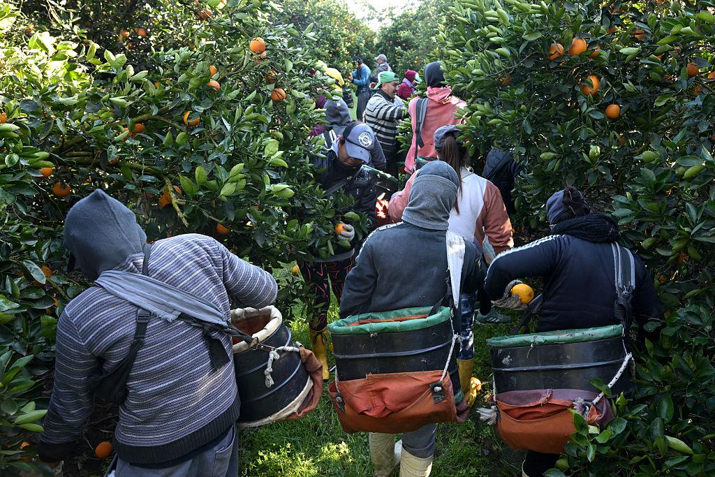 Commissioners Call for Tougher Measures to Combat Modern Slavery in Australia