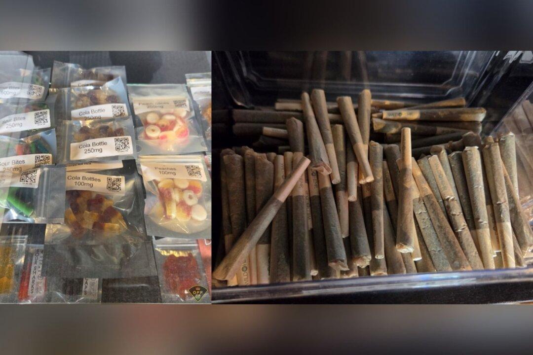 Police Raid Alleged Illegal Pot Shops in Southwestern Ontario, Three Arrested