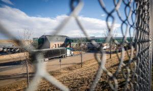 Alberta Forces Shutdown of Trucking Firm Tied to Fatal Manitoba Collision