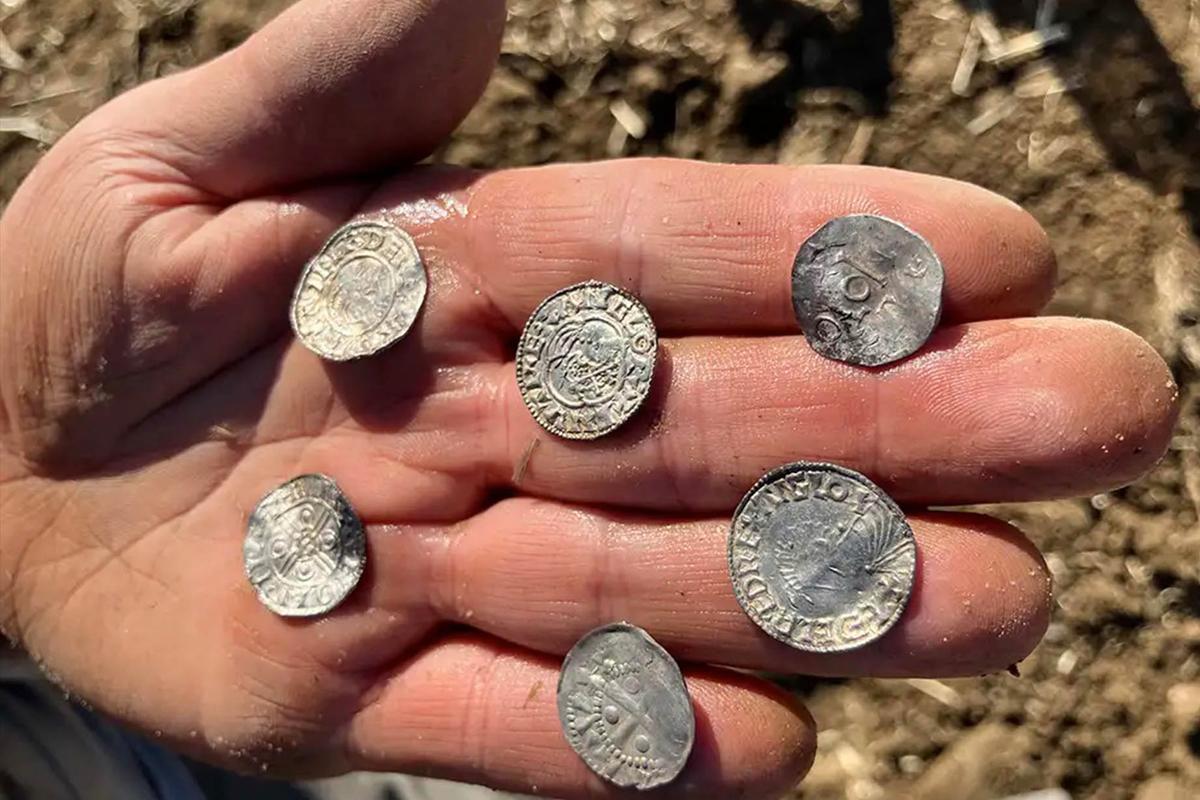 Silver coins buried around 1046 were found by two amateur metal detectorists in Mørstad, Norway, on April 10, 2026. (Innlandet County Authority)