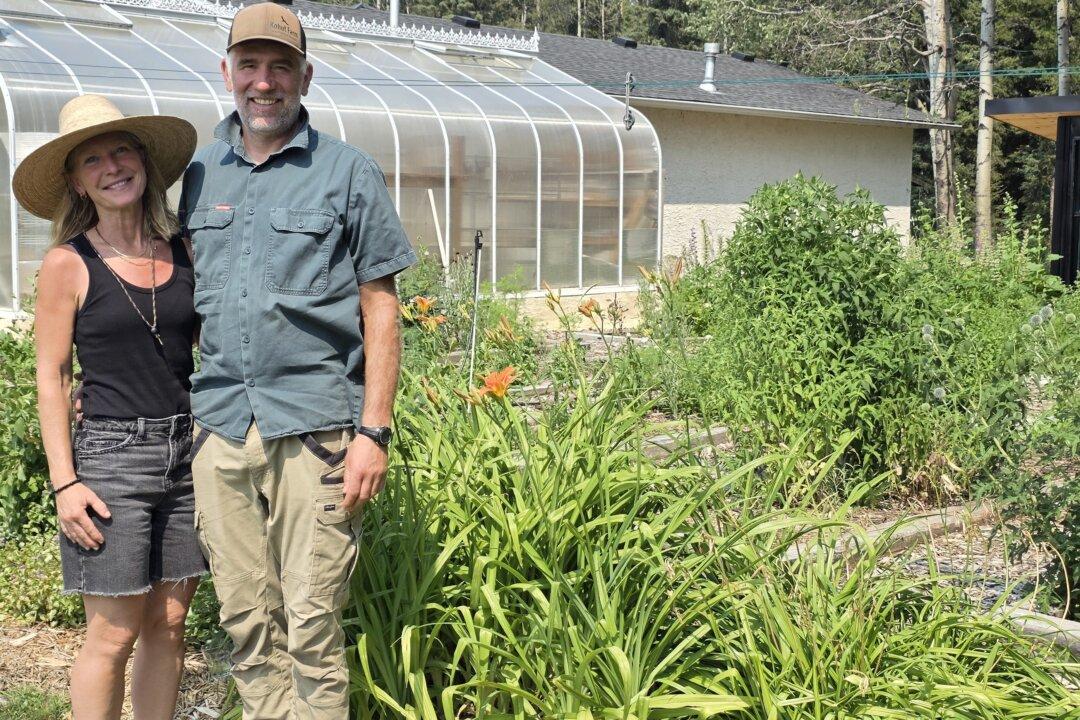 Calgary-Area Farm Restoring Soil Health Through Regenerative Agriculture